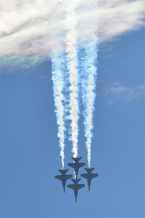 Nas Oceana Id Cards